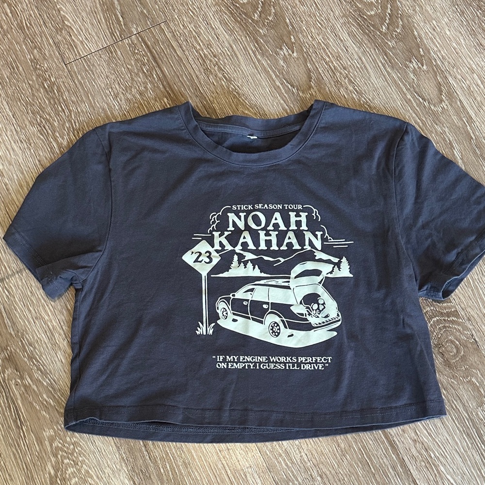 Noah Kahan Stick Season Cropped Graphic Tee